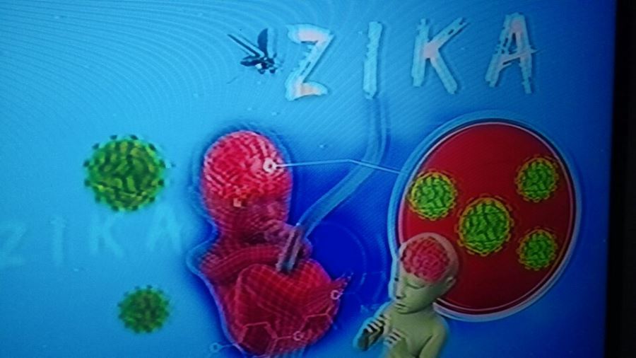 Muỗi truyền bệnh ZIKA nếu không có muỗi thì không bao giờ nhiễm vi rút ZIKA