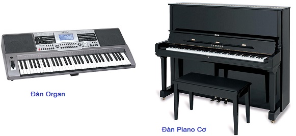 Sự khác nhau giữa đàn Piano và Organ