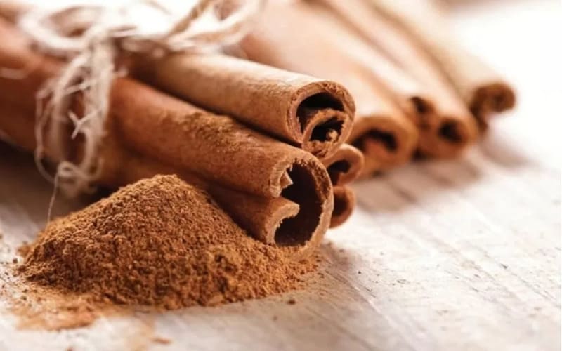 cinnamon bark for export
